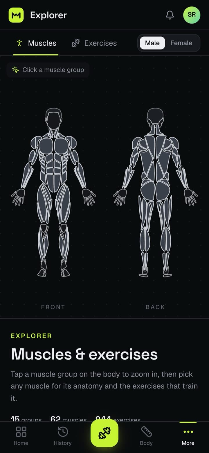 Muscle explorer body map